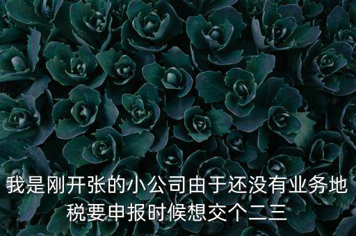 業(yè)務(wù)地稅是什么意思，利潤(rùn)表里主營(yíng)業(yè)務(wù)稅金及附加是國(guó)稅還是地稅征收呢親們幫忙解釋