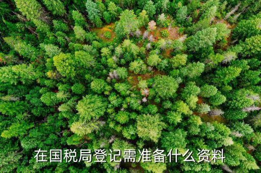 登記國(guó)稅需要什么手續(xù)，國(guó)稅登記需要帶什么資料