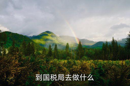 國(guó)稅局什么工作，國(guó)稅是做什么工作的