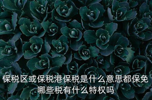 保稅區(qū)或保稅港保稅是什么意思都保免哪些稅有什么特權嗎