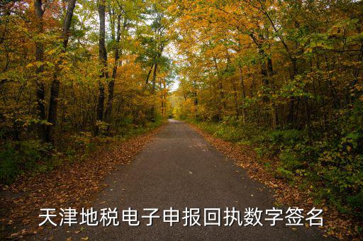 天津地稅自查表是什么，天津地稅電子申報回執(zhí)數(shù)字簽名