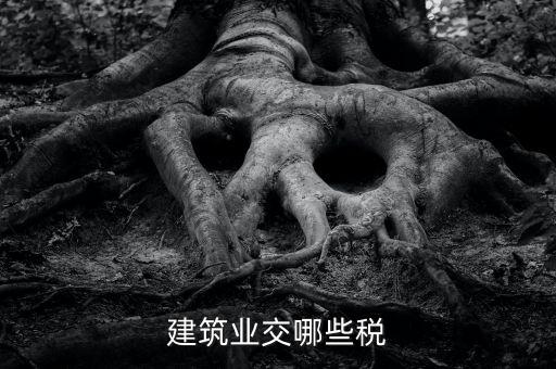 建筑設(shè)計(jì)交什么稅，建筑設(shè)計(jì)企業(yè)所得稅應(yīng)該交什么稅呀怎么抵扣