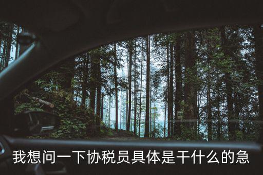 我想問一下協(xié)稅員具體是干什么的急