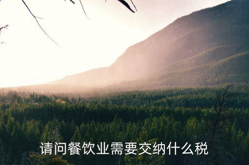 餐飲業(yè) 公司 交什么稅，餐飲企業(yè)繳納哪些稅