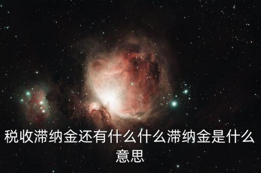 地稅滯納金是什么意思，稅收滯納金還有什么什么滯納金是什么意思