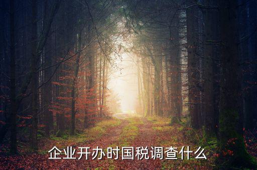 國(guó)稅稅收調(diào)查調(diào)查什么，國(guó)稅三稅調(diào)查是指哪三稅