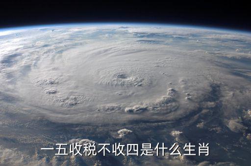 什么生肖要打稅，稅意新榮打一生肖