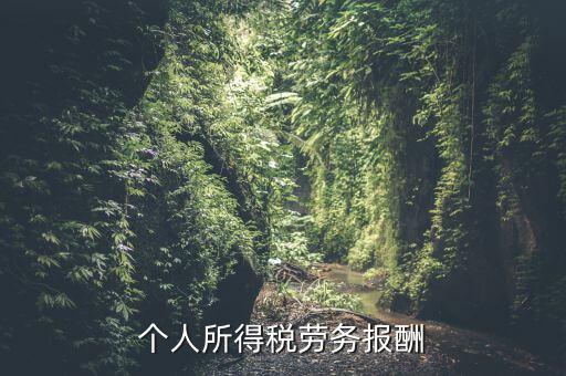 個稅什么情況勞務報酬，有關個稅勞務報酬