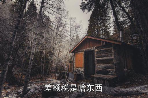 差額稅是啥東西