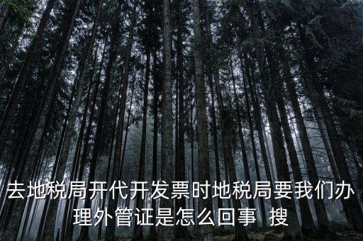為什么要開電子外管證，像您咨詢一下關于外管證的事宜我前一陣開了外管證您說是避免