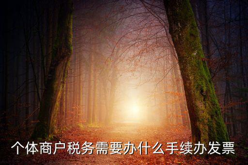 個(gè)體商戶(hù)稅務(wù)需要辦什么手續(xù)辦發(fā)票