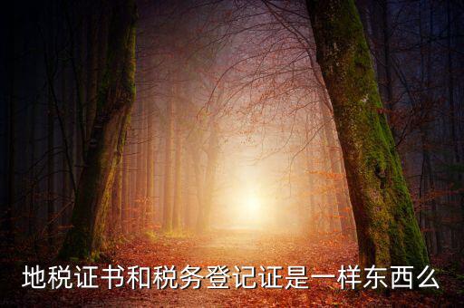 地稅登記證是什么，地方稅納稅資料封面上稅務(wù)登記證號是甚么