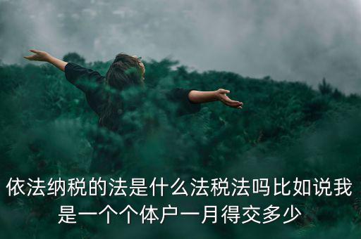 什么是依法納稅人，依法納稅的法是什么法稅法嗎比如說我是一個(gè)個(gè)體戶一月得交多少