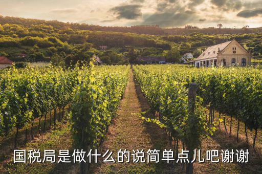 國(guó)稅局是做什么的說簡(jiǎn)單點(diǎn)兒吧謝謝