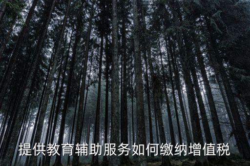 教育輔助服務(wù)包括什么，教育咨詢(xún)服務(wù)包括代理招生嗎