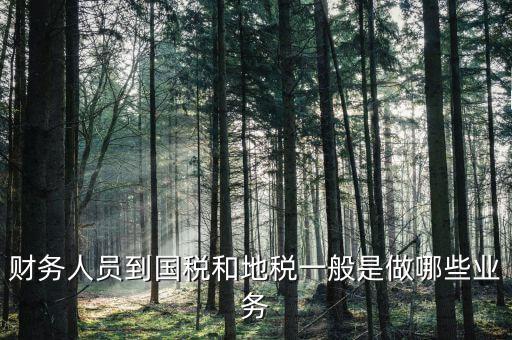 國(guó)稅地稅有什么工作，地稅工作人員有哪些職務(wù)