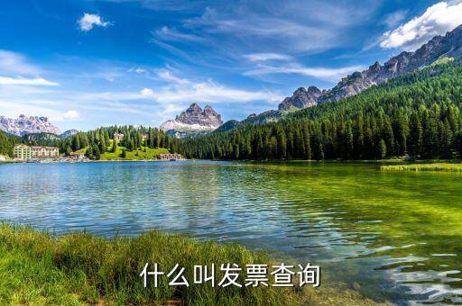 發(fā)票查驗單是什么意思，簡述什么是發(fā)票檢查