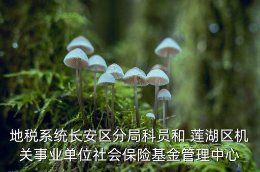 地稅系統(tǒng)長安區(qū)分局科員和 蓮湖區(qū)機關事業(yè)單位社會保險基金管理中心