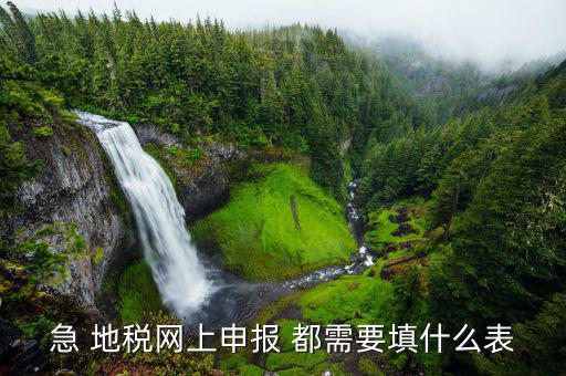稅務申報表用什么填置，怎么填寫稅務申請表