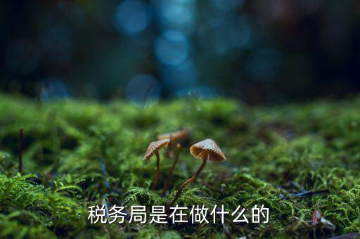 稅務(wù)總局是做什么的，稅務(wù)局是在做什么的