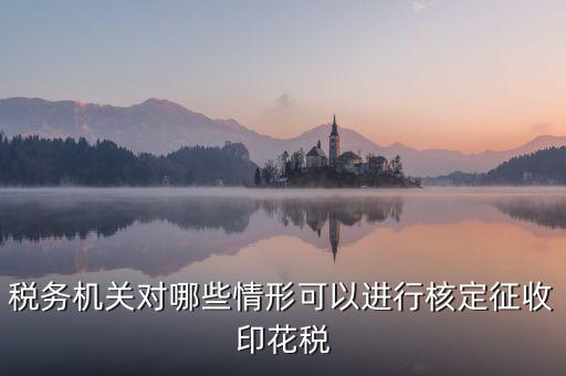 核定印花稅是什么意思，關(guān)于印花稅的核定比例