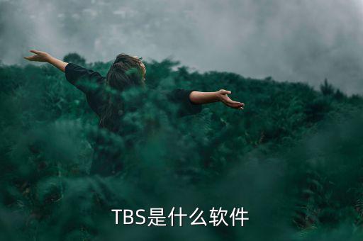 金穗軟件是什么軟件，這個軟件叫什么