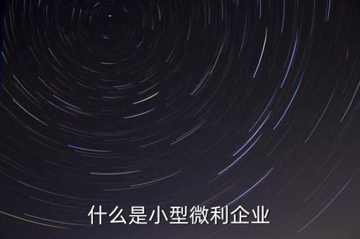 什么是小型微利，什么是小型微利企業(yè)收入從業(yè)人員其它條件