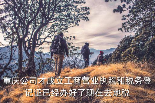 重慶公司才成立工商營(yíng)業(yè)執(zhí)照和稅務(wù)登記證已經(jīng)辦好了現(xiàn)在去地稅