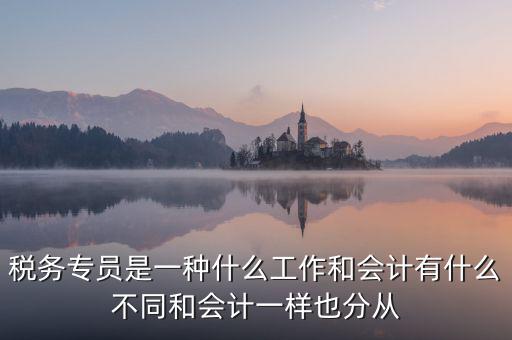 稅務(wù)專員是一種什么工作和會計(jì)有什么不同和會計(jì)一樣也分從