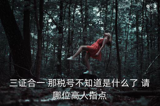 三證合一后的發(fā)票稅號(hào)是什么意思，三證合一 那稅號(hào)不知道是什么了 請(qǐng)哪位高人指點(diǎn)