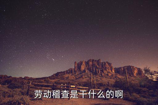 稽查是什么工作，勞動稽查是干什么的啊