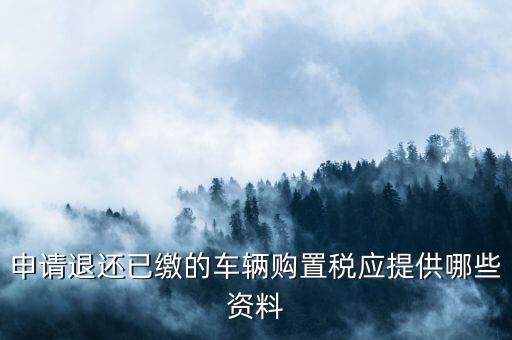 車輛退稅需要什么，現(xiàn)在購(gòu)車要退什么稅