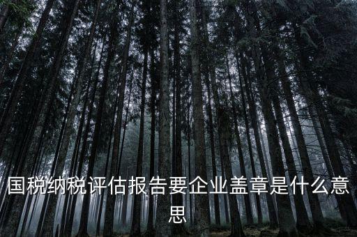 稅務國別報告是什么意思，國稅納稅評估報告要企業(yè)蓋章是什么意思