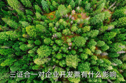 稅務(wù)三合一有什么好處，三合一后舊發(fā)票章能用嗎