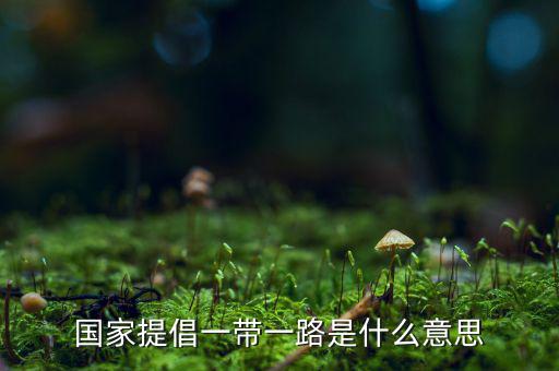 國稅一帶一路什么意思，一帶一路指什么意思