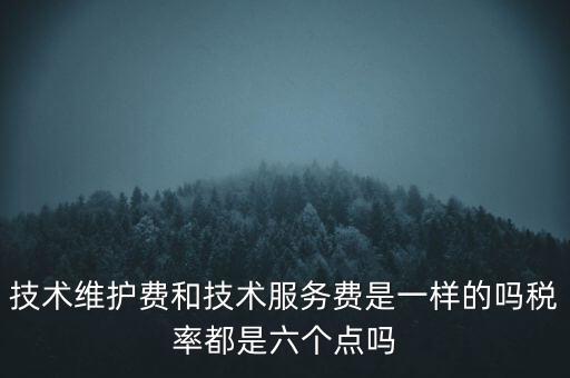 技術(shù)維戶費(fèi)交什么稅，維修費(fèi)交什么稅