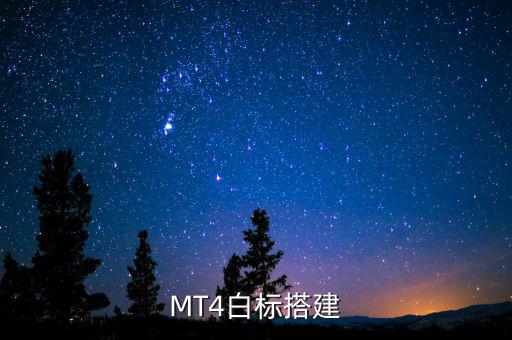 稅務(wù)系統(tǒng)為什么進行容災(zāi)建設(shè)，小微企業(yè)該購買什么樣的服務(wù)器涉及生產(chǎn)倉儲銷售和財務(wù)等  搜