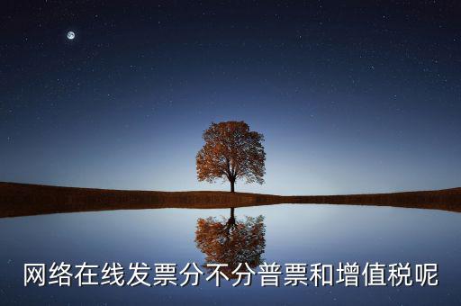 在線發(fā)票是什么，網(wǎng)絡(luò)在線發(fā)票分不分普票和增值稅呢