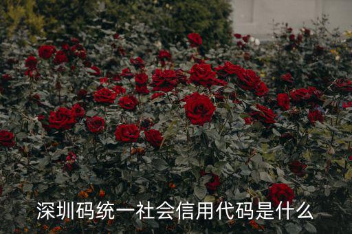 統(tǒng)一社會信用代碼指什么影響，深圳碼統(tǒng)一社會信用代碼是什么
