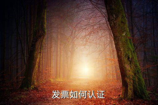 發(fā)票通過什么認(rèn)證，關(guān)于發(fā)票認(rèn)證哪些發(fā)票需要認(rèn)證