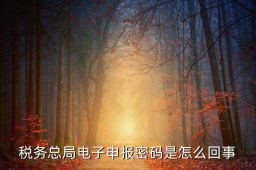 山東國(guó)稅登錄密碼是什么意思，使用過(guò)的帳號(hào)登錄密碼是什么意思
