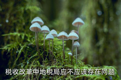 稅收改革中地稅局應(yīng)不應(yīng)該存在問(wèn)題