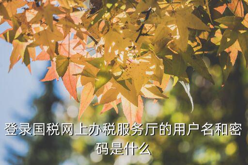 江蘇國稅電子稅務(wù)局登錄用戶名是什么，江蘇國稅網(wǎng)上辦稅服務(wù)廳的用戶名是什么