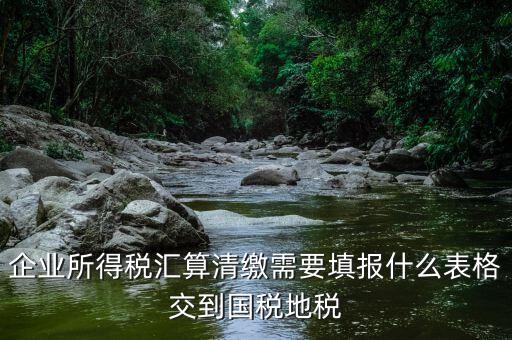 匯算清繳填寫什么表格，請教關(guān)于企業(yè)所得稅匯算清繳中需要填寫的表格的一些問題