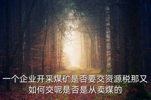 煤在什么環(huán)節(jié)征資源稅，煤礦資源稅稅率