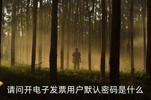 請(qǐng)問開電子發(fā)票用戶默認(rèn)密碼是什么