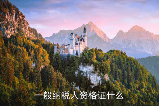 什么是一般納稅人證明，一般納稅人資格證什么