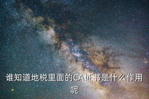 誰(shuí)知道地稅里面的CA證書是什么作用呢