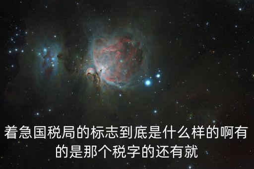 稅優(yōu)識(shí)別碼是什么樣的，納稅人辨認(rèn)號(hào)和代碼是1樣的