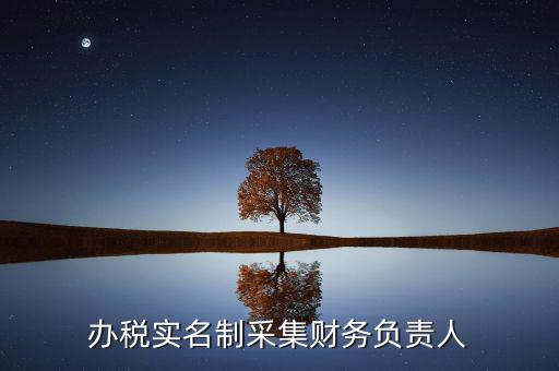 什么是實(shí)名辦稅，辦稅實(shí)名制采集財務(wù)負(fù)責(zé)人